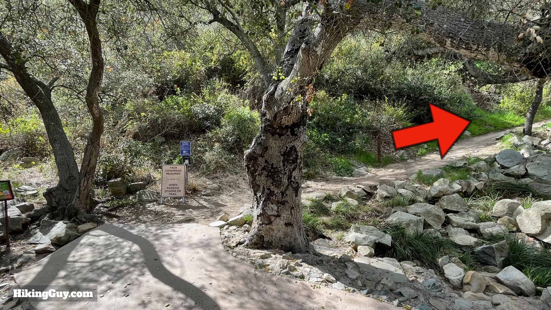 Elfin Forest Hike Directions 13