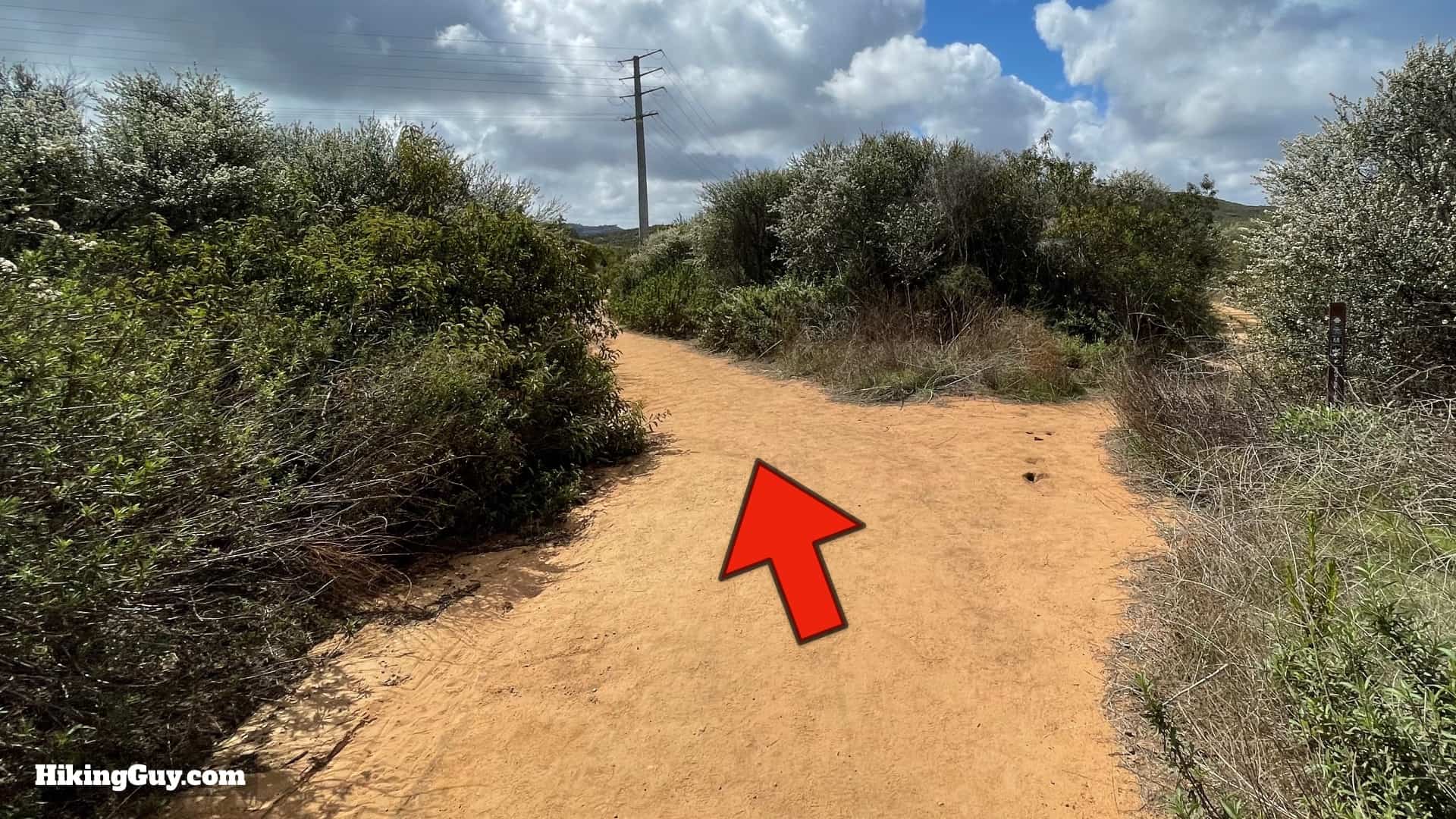 Elfin Forest Hike Directions 21