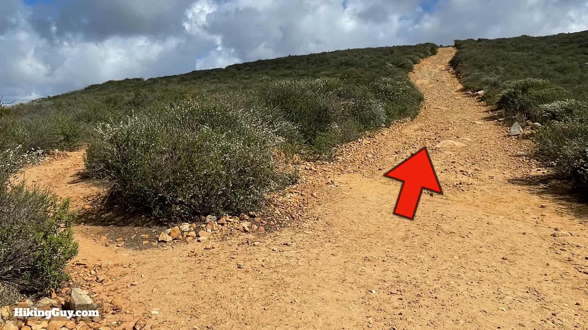 Elfin Forest Hike Directions 25