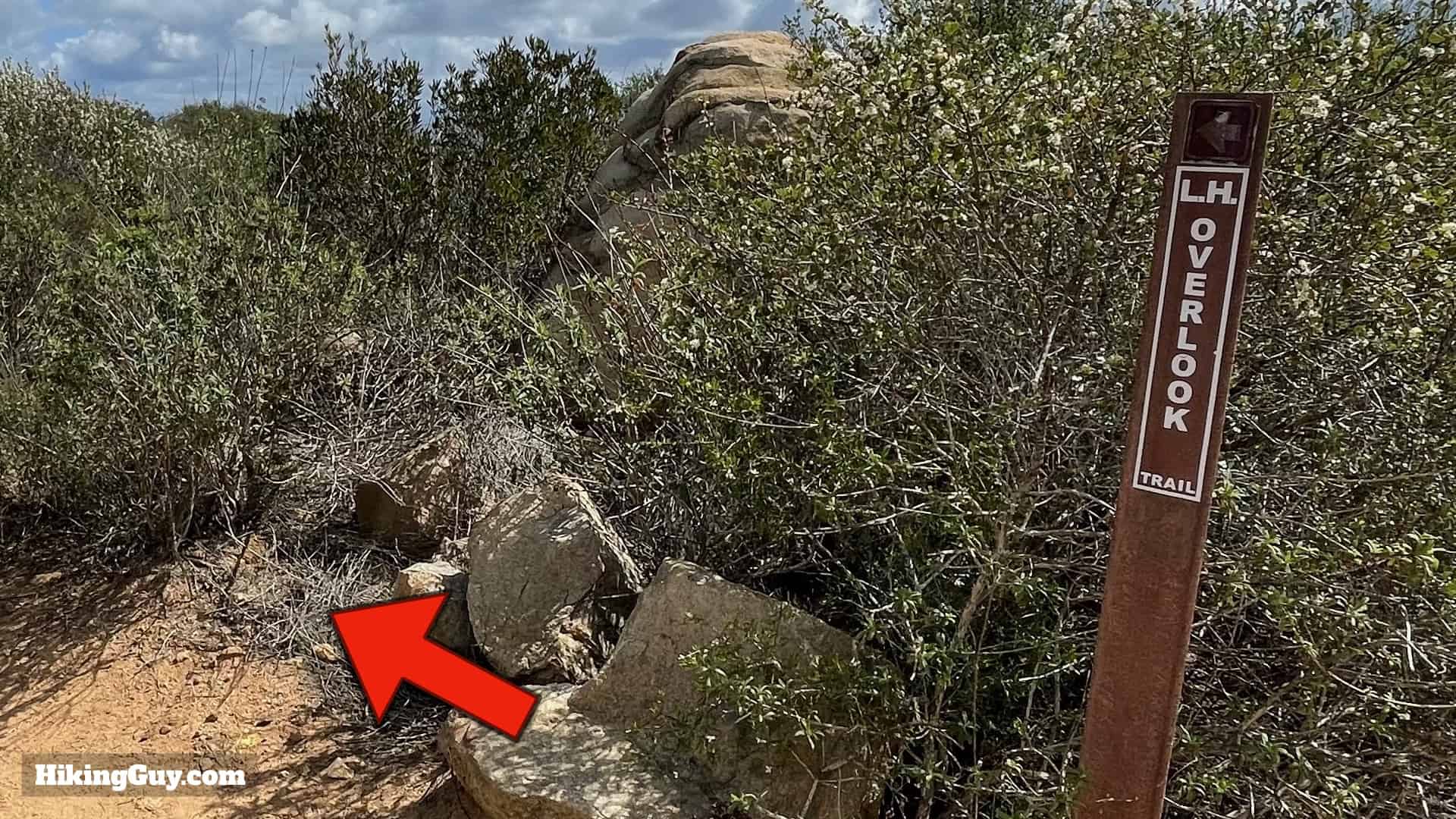 Elfin Forest Hike Directions 36