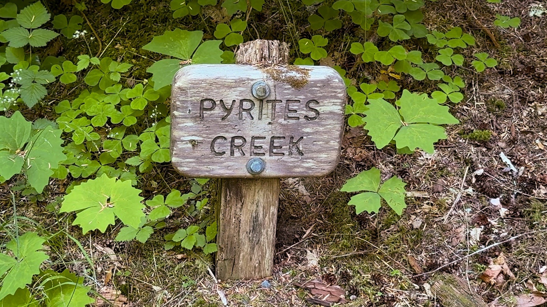Enchanted Valley Chalet Pyrites Sign