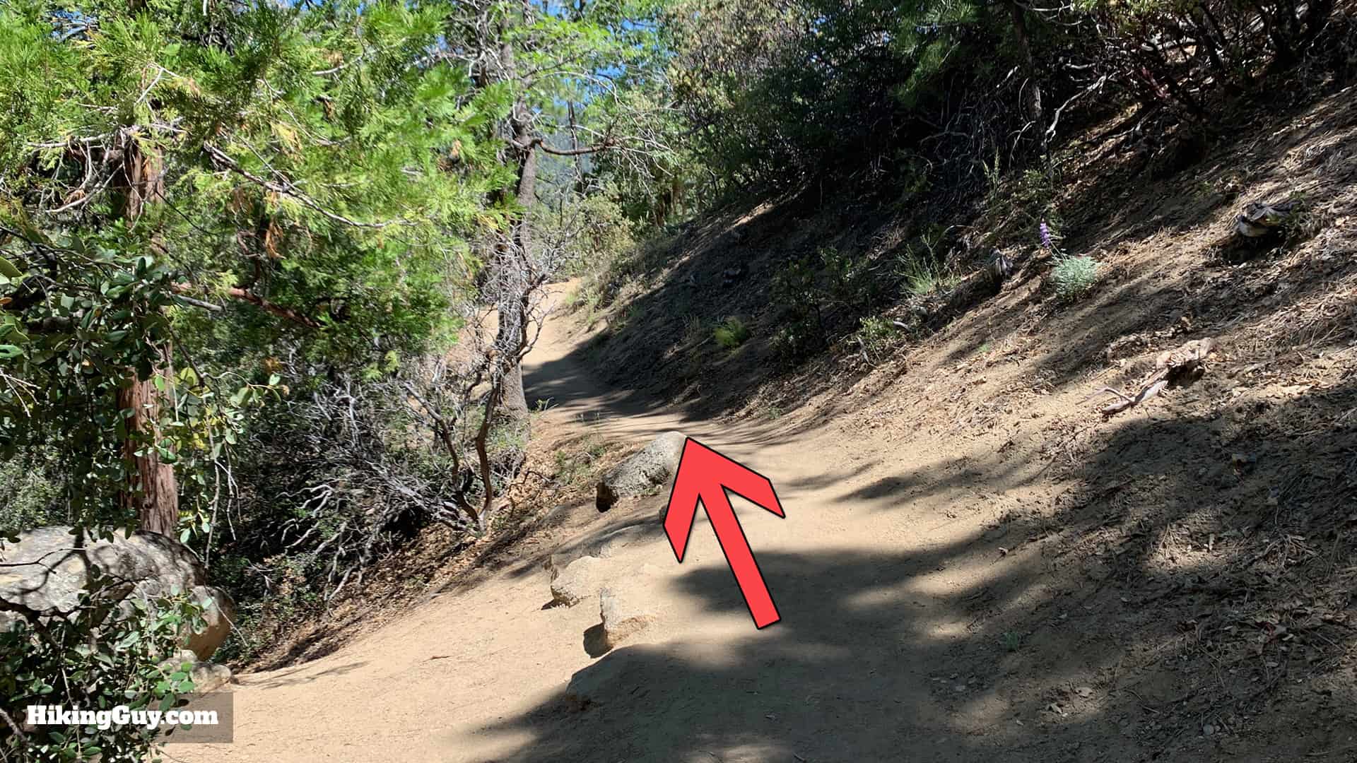 Ernie Maxwell Scenic Trail 11