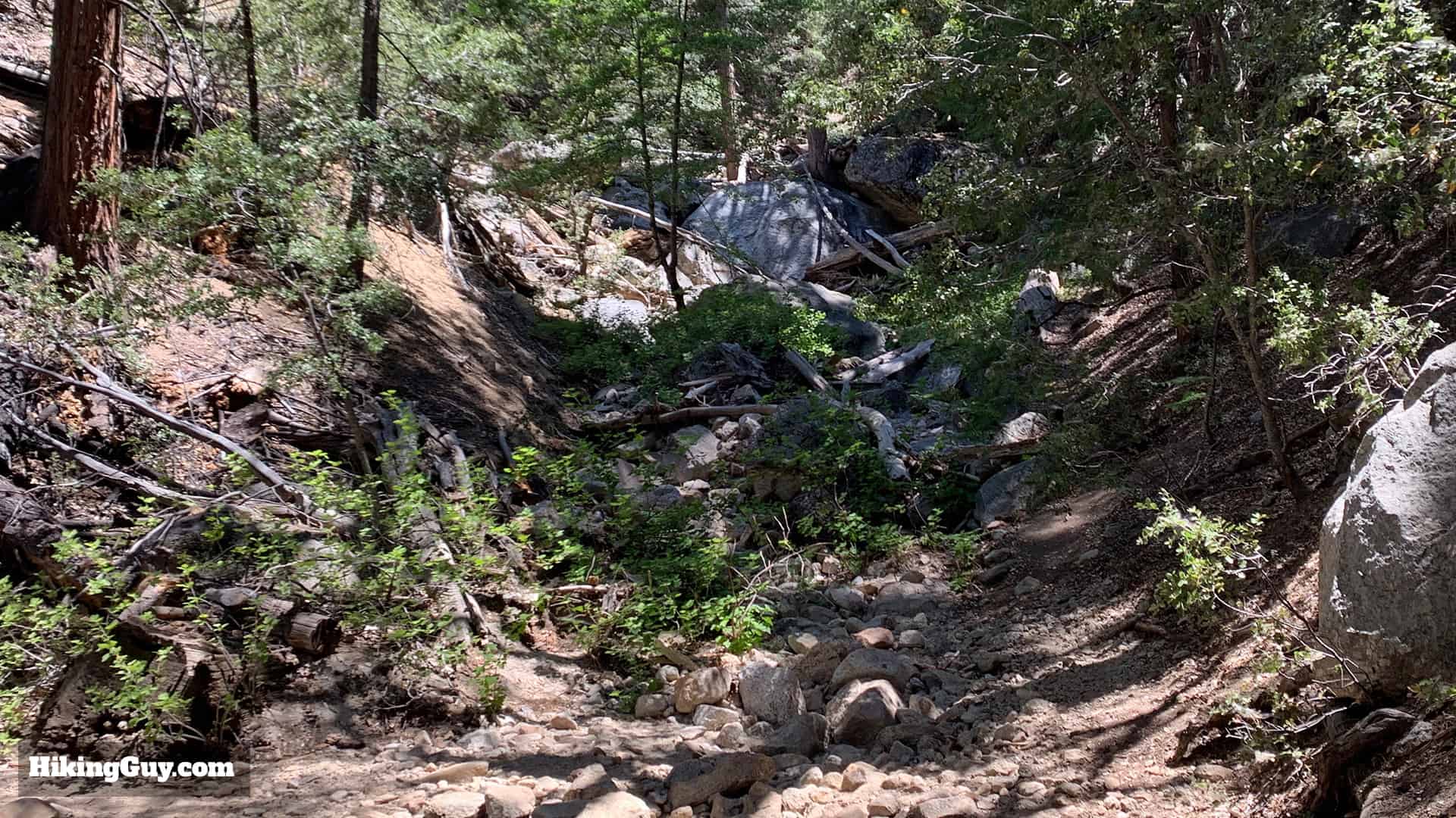 Ernie Maxwell Scenic Trail 13