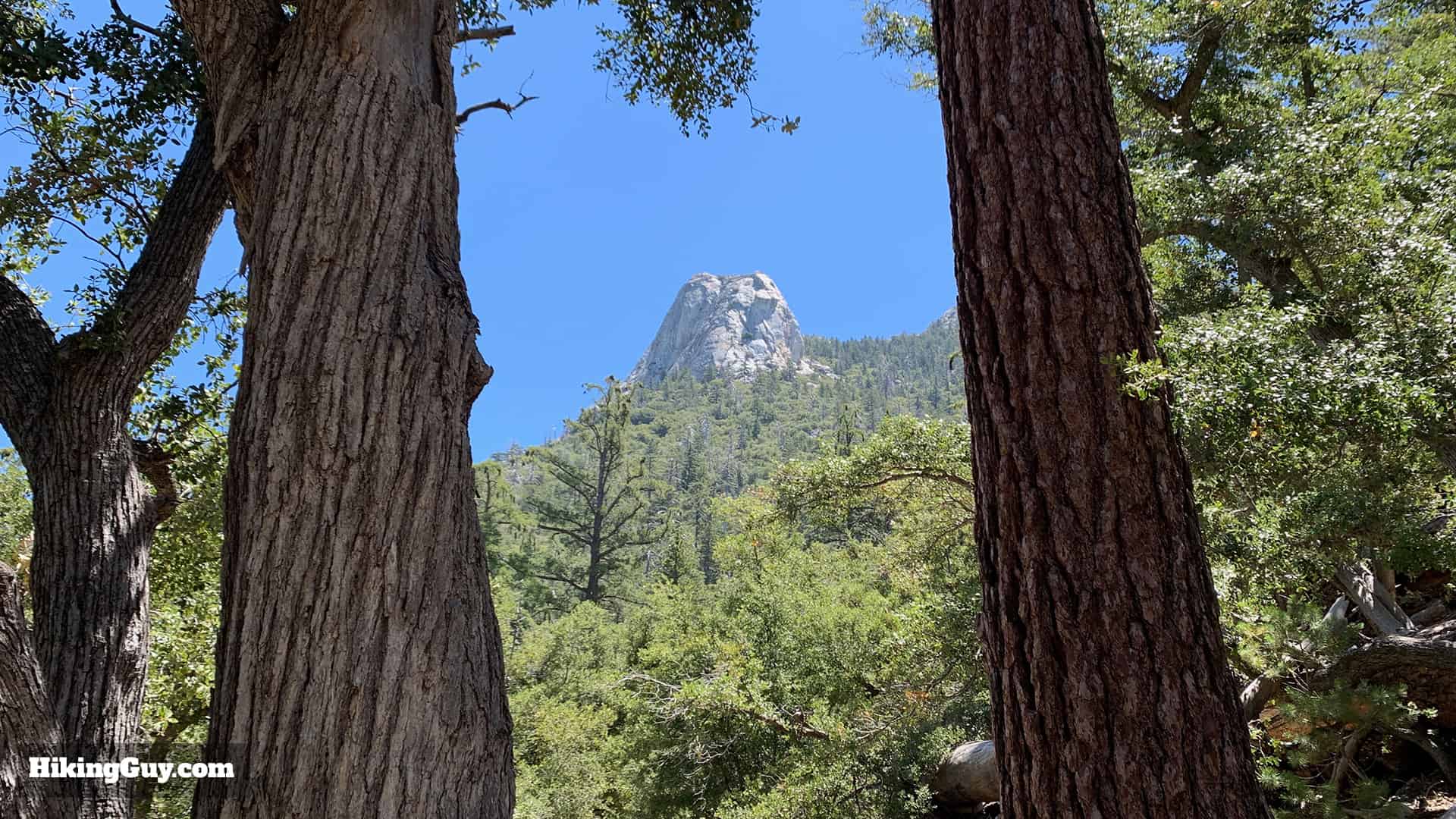 Ernie Maxwell Scenic Trail 14