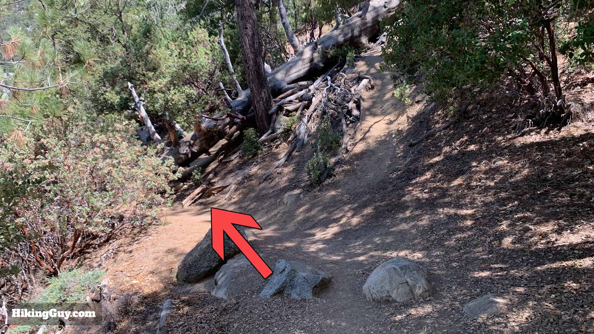 Ernie Maxwell Scenic Trail 15