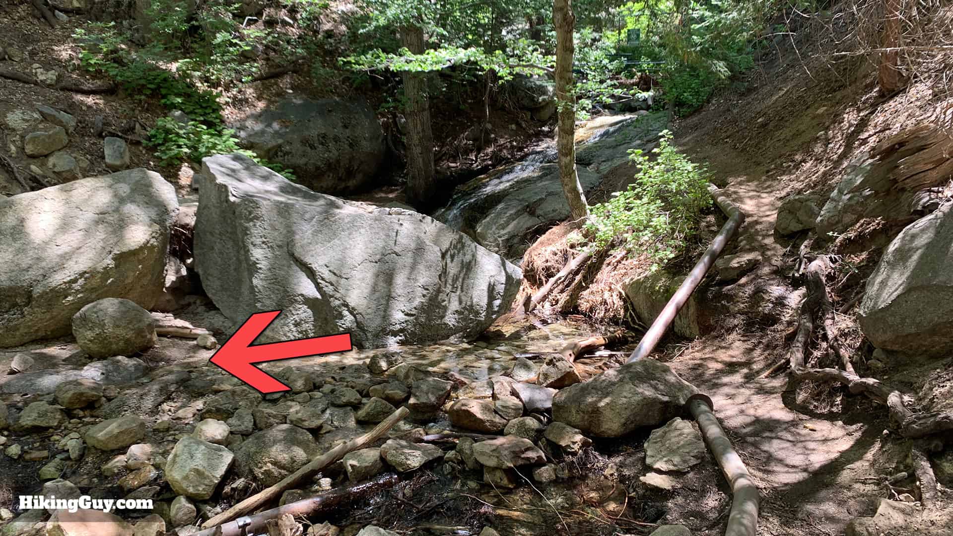 Ernie Maxwell Scenic Trail 17