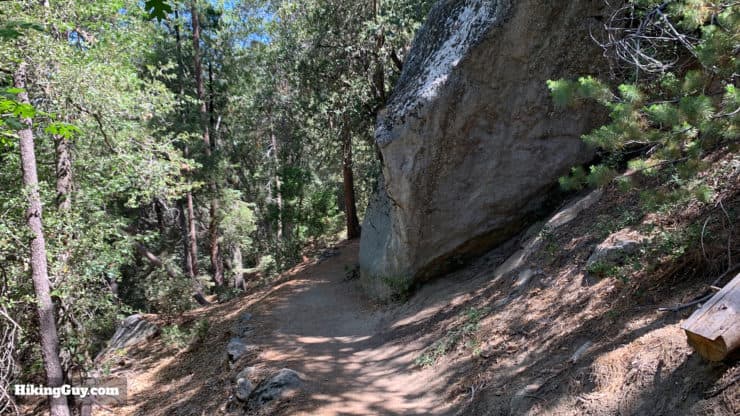 Ernie Maxwell Scenic Trail 7