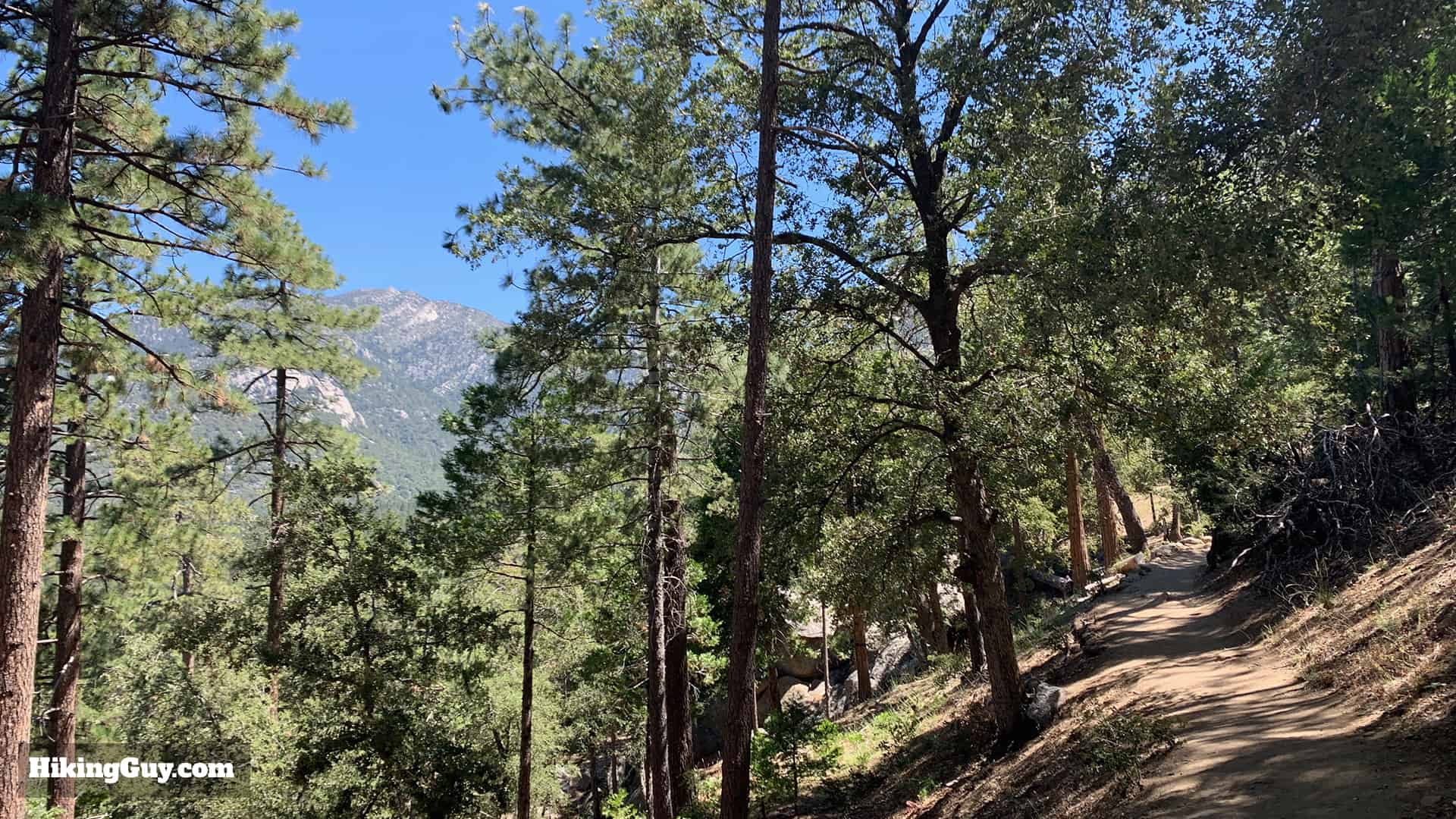 Ernie Maxwell Scenic Trail 8