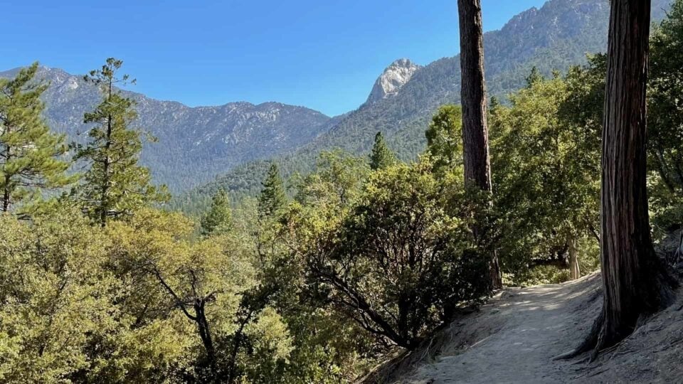 Ernie Maxwell Trail Featured