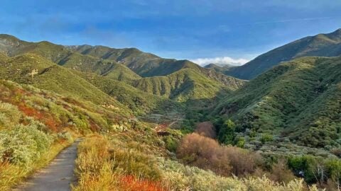 Hike the Etiwanda Falls Trail
