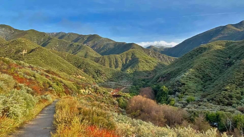 Etiwanda Falls Featured