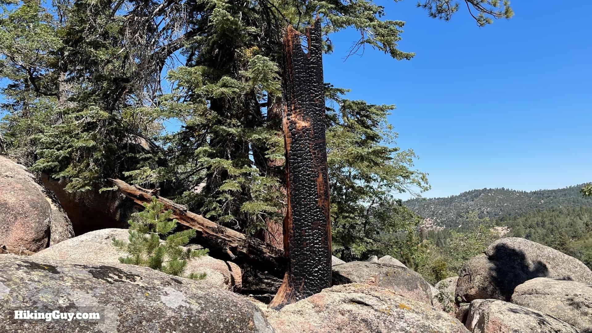 Exploration Trail Keller Peak Directions 1