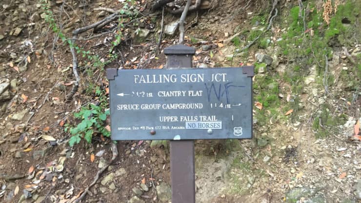 Falling Sign Junction
