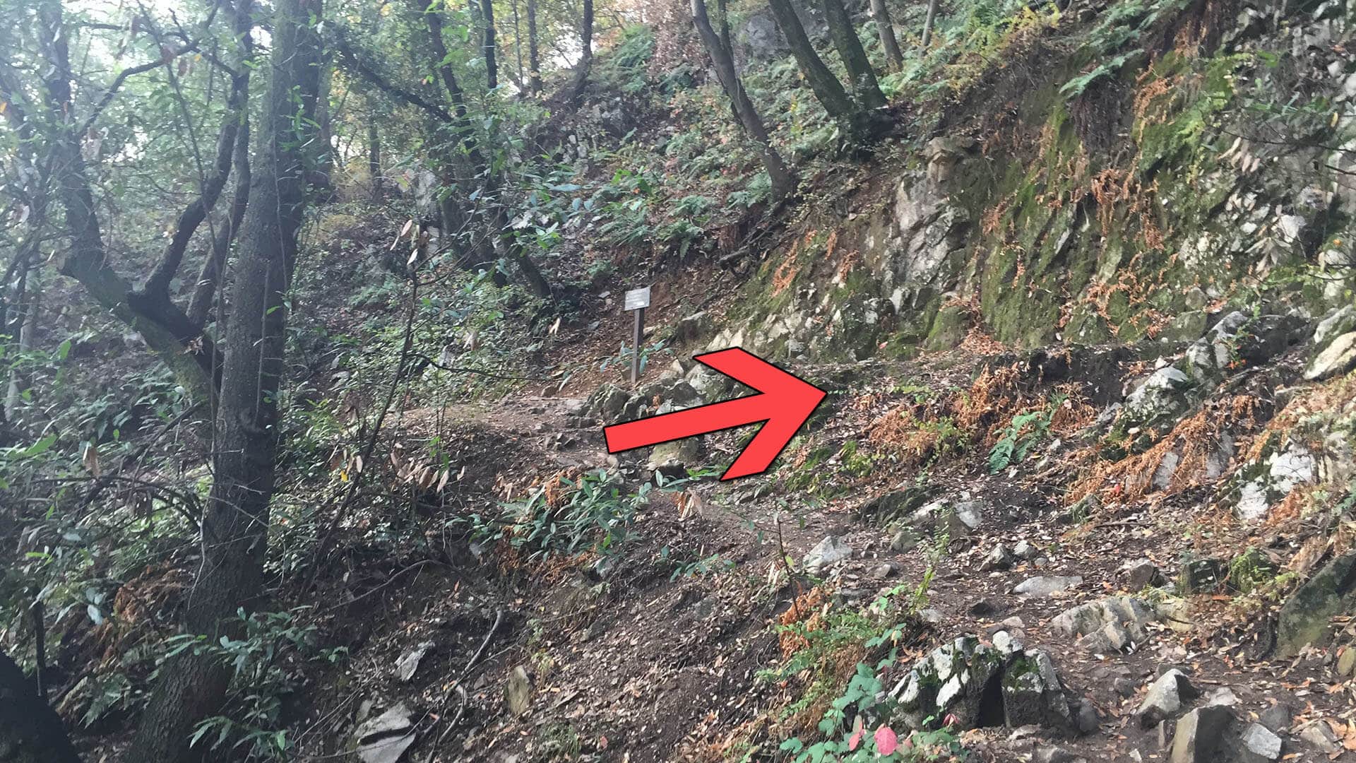 Falling Sign Junction