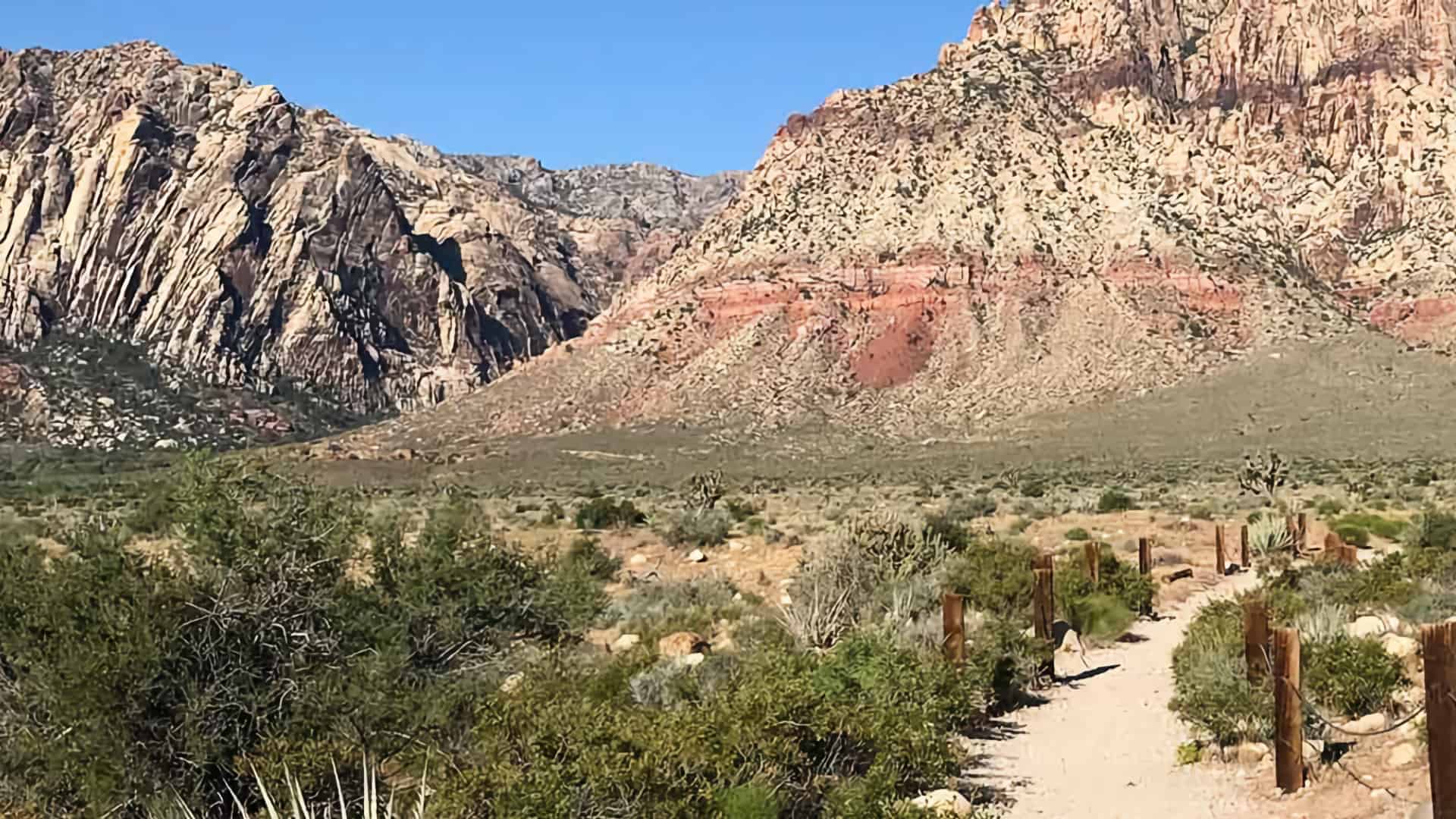 Hike First Creek Canyon Trail