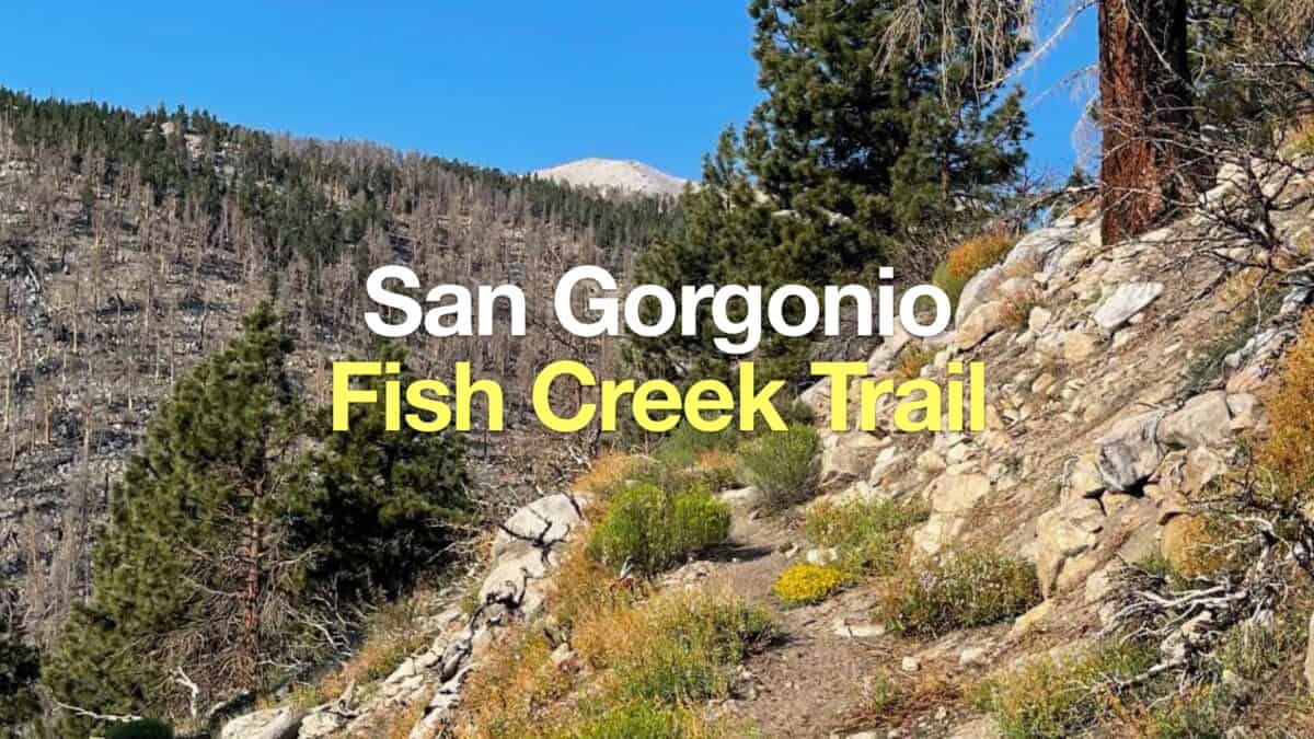 Fish Creek Trail to San Gorgonio Mountain
