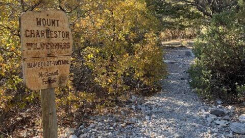 Fletcher Canyon Trail Hike