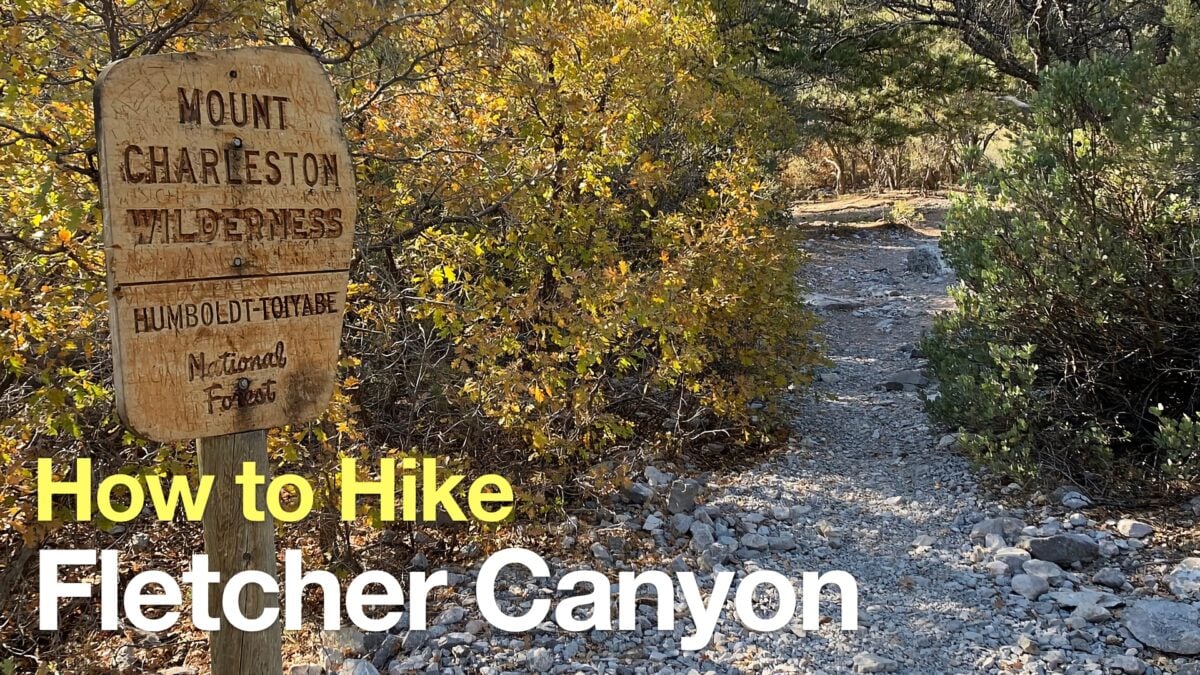 Fletcher Canyon Trail Hike