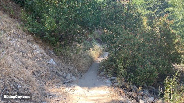 Gabrielino Trail Eastbound Directions 12