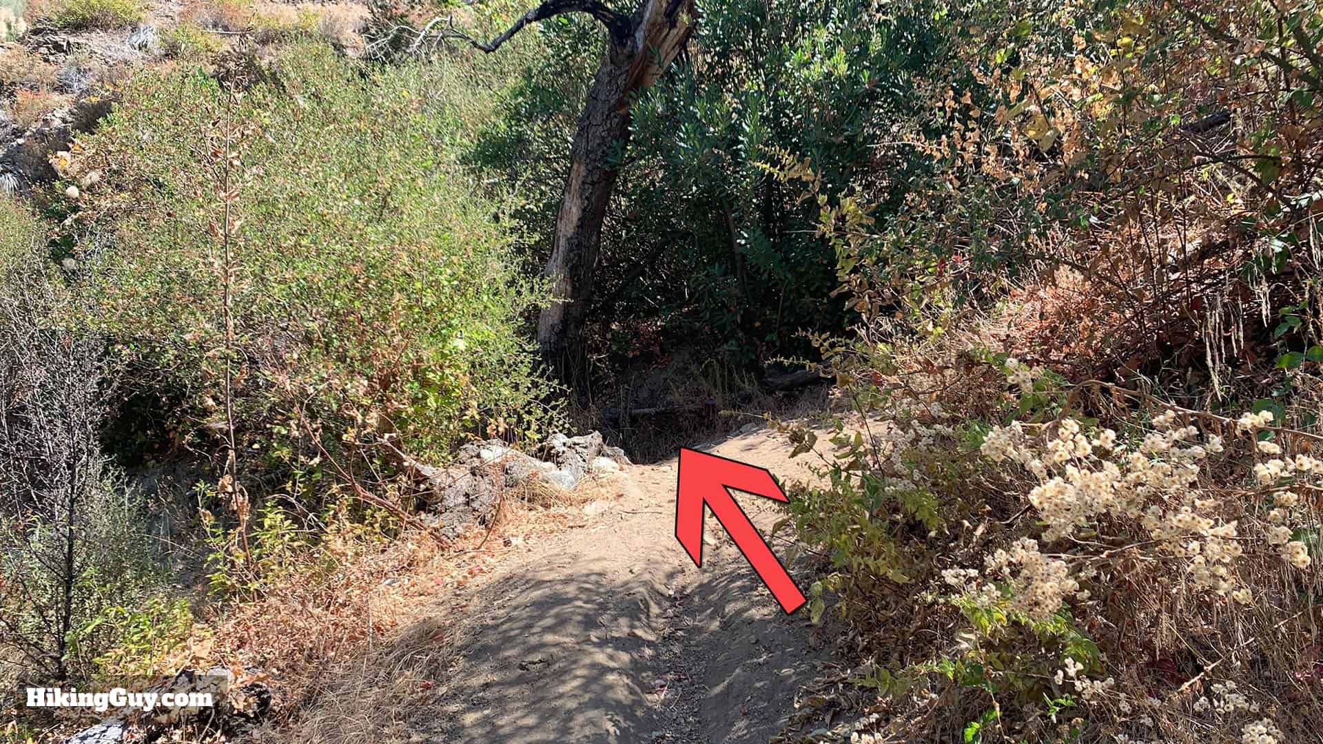 Gabrielino Trail Eastbound Directions 18