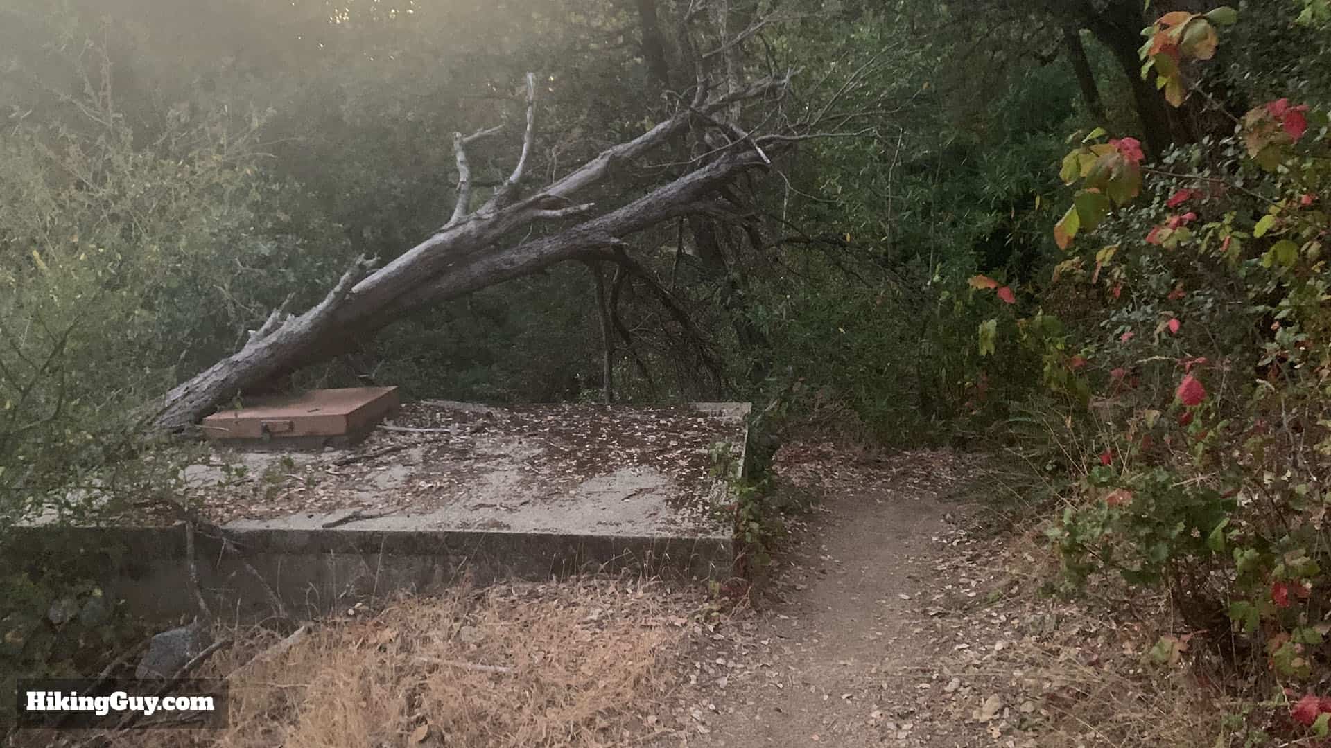 Gabrielino Trail Eastbound Directions 47