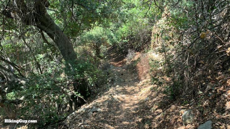 Gabrielino Trail Eastbound Directions 59