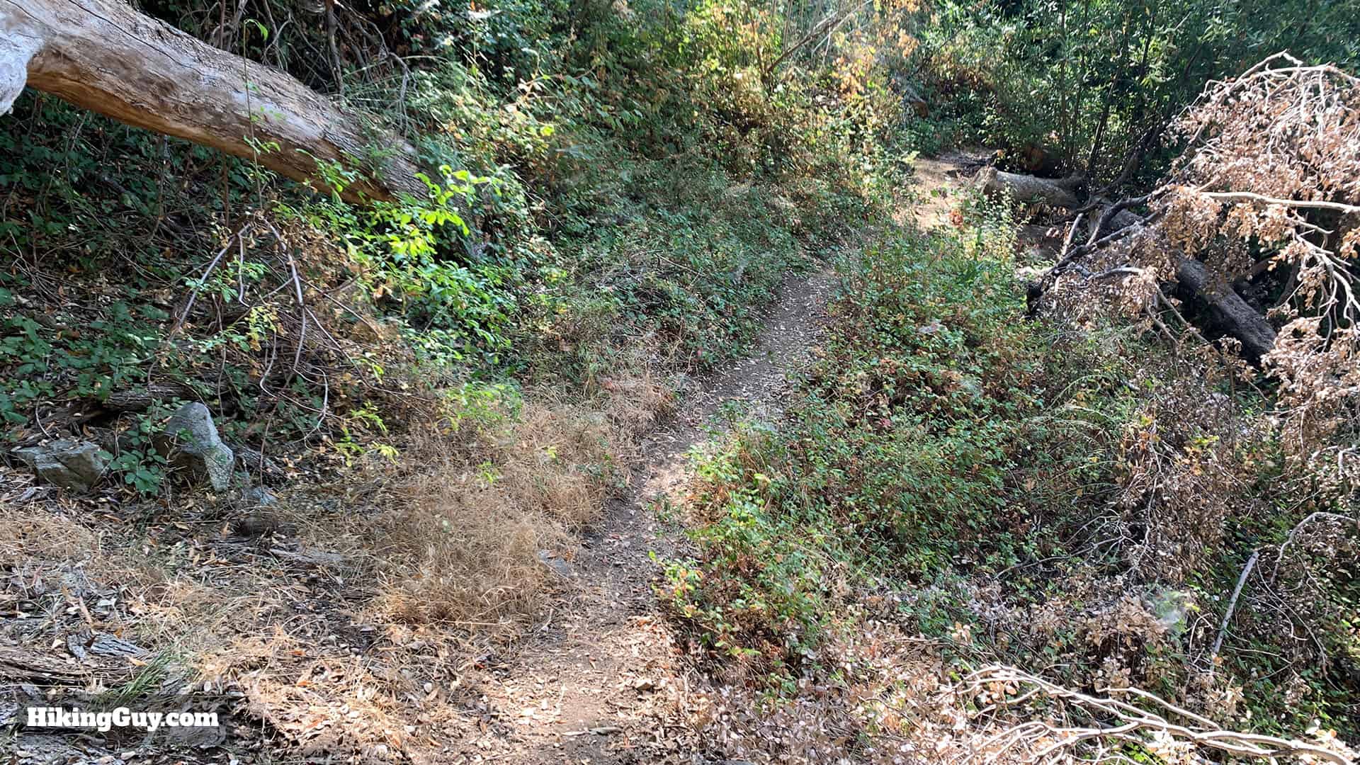 Gabrielino Trail Westbound Directions 30