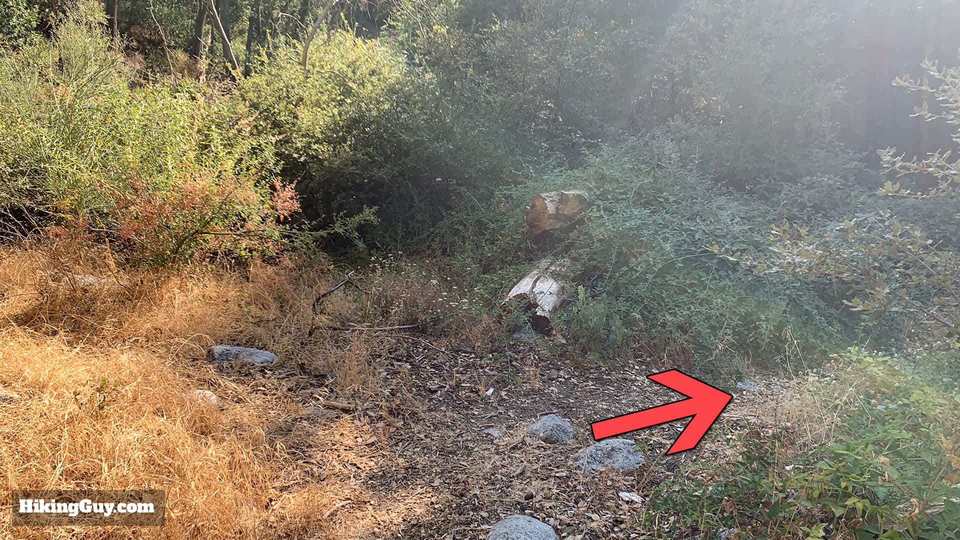 Gabrielino Trail Westbound Directions 40