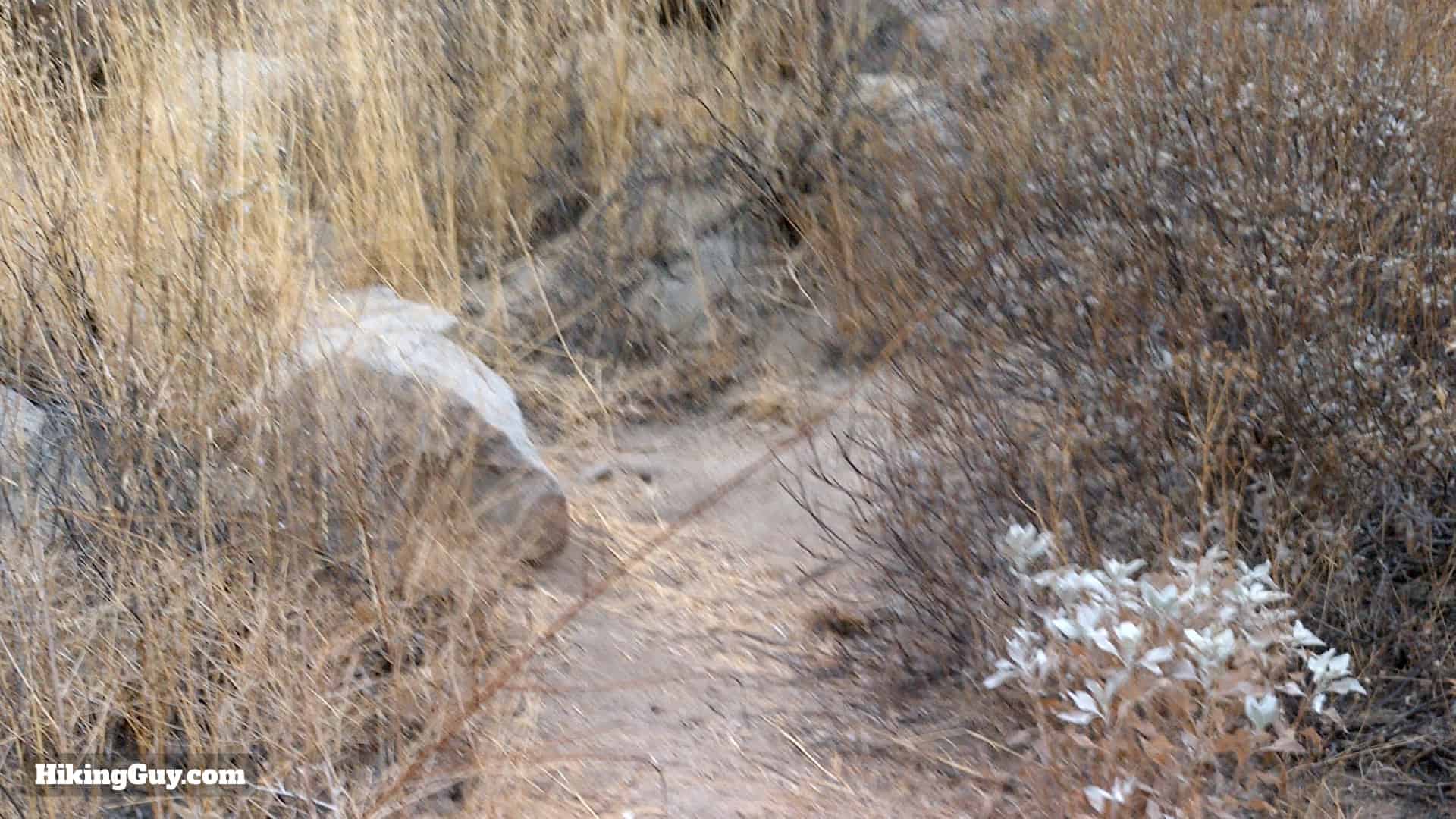 Garmin Montana Blurry Photo