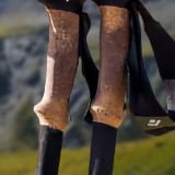 Gear Black Diamond Cork Poles