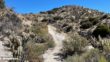 Goat Canyon Trestle Hike Directions 25