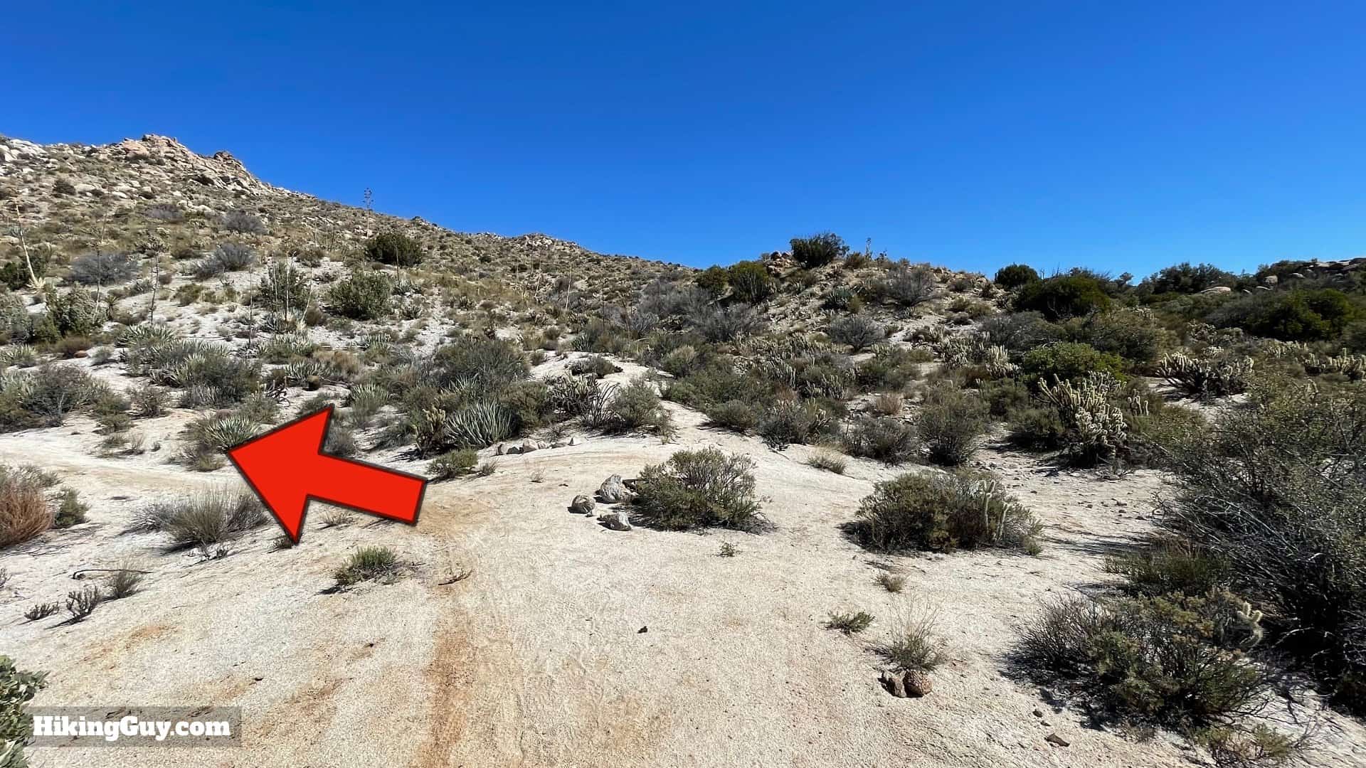 Goat Canyon Trestle Hike Directions 26