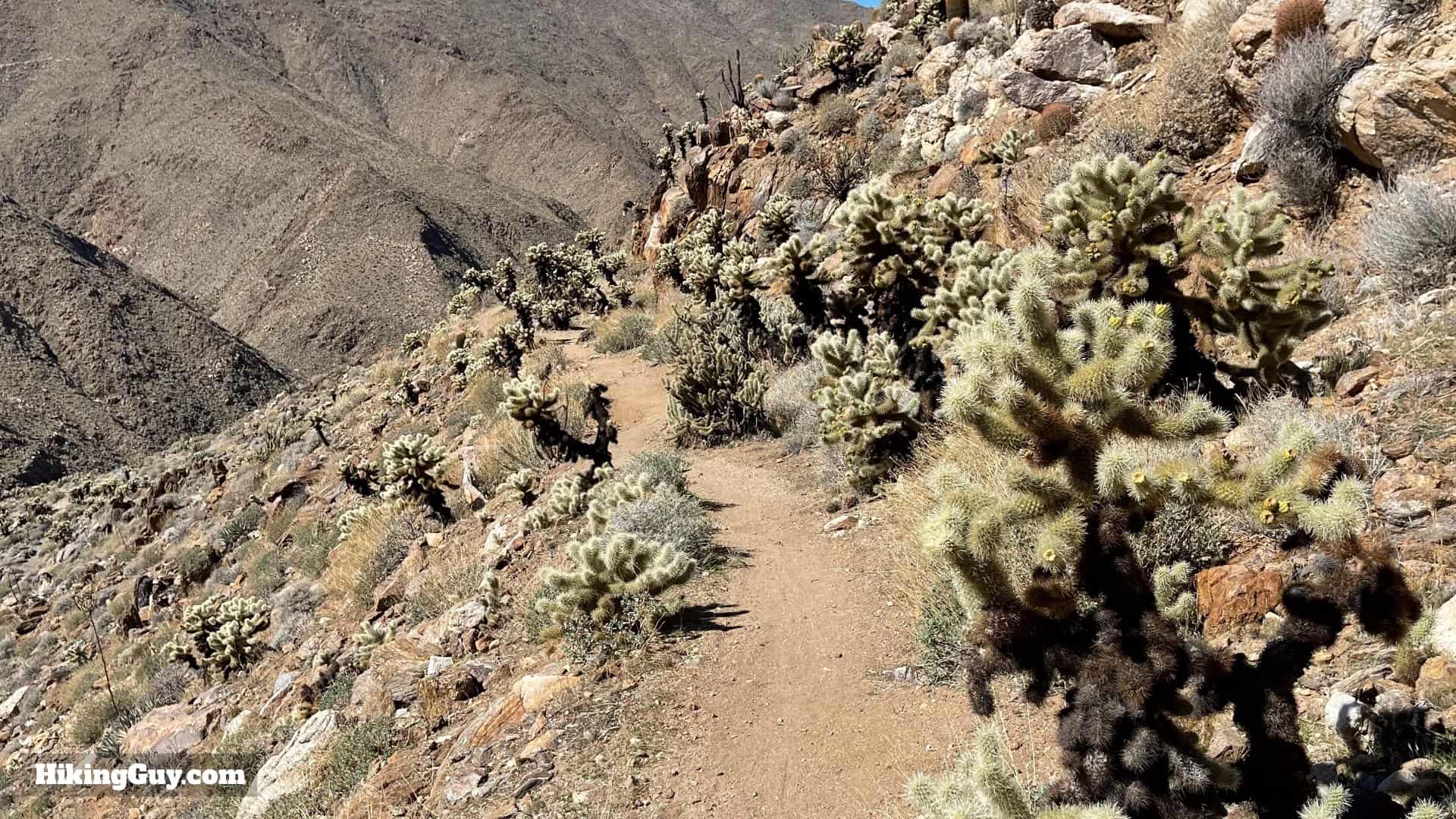 Goat Canyon Trestle Hike Directions 45