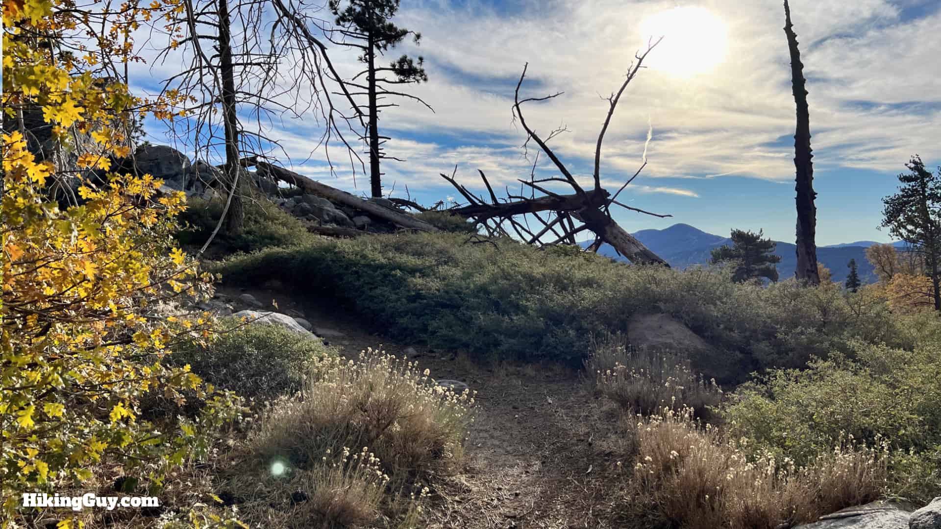 Grays Peak Trail Directions 22