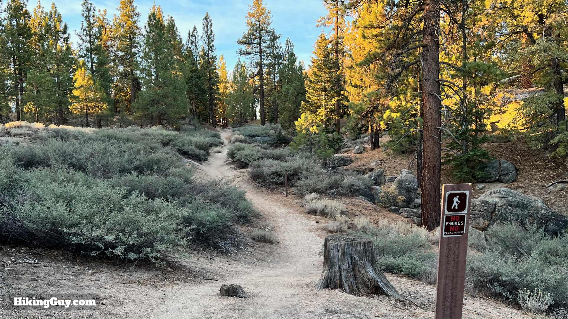 Grays Peak Trail Directions 7