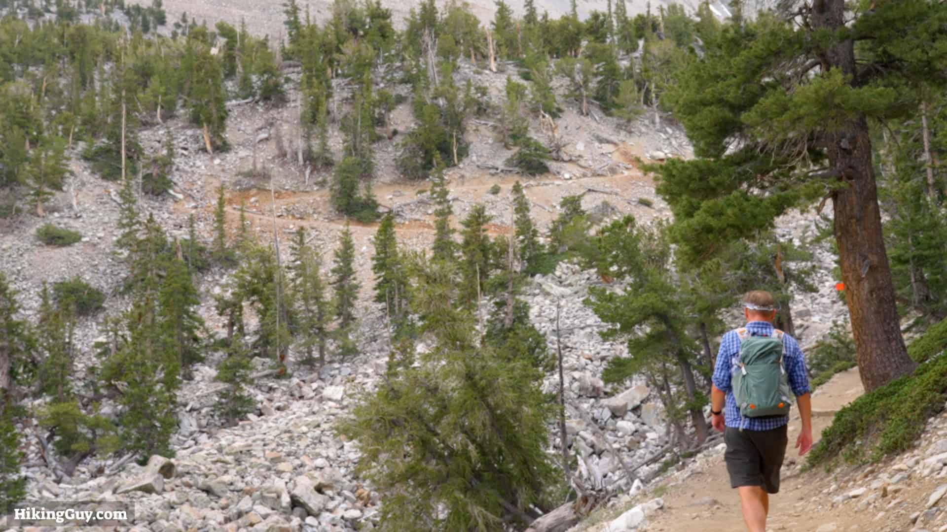 Great Basin Alpine Bristlecone Hike 11