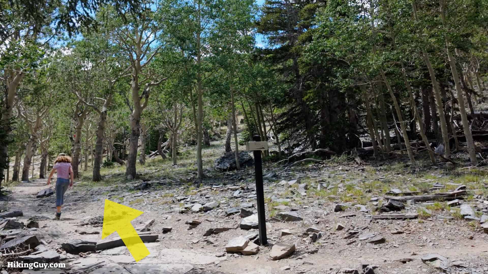 Great Basin Alpine Bristlecone Hike 6