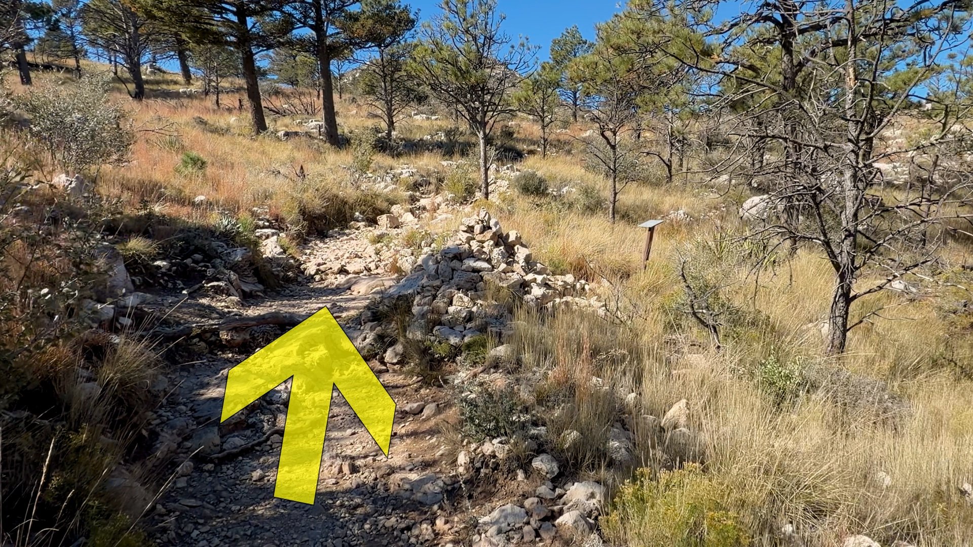 Guadalupe Peak Hike Directions 16