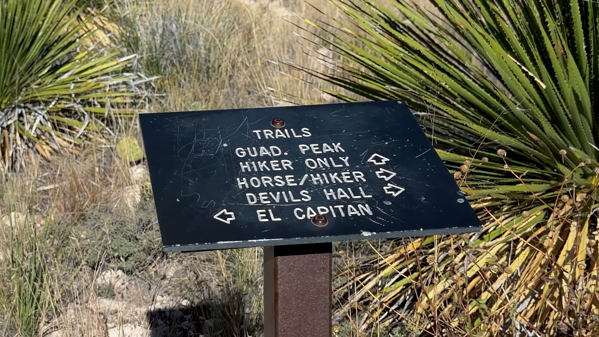 Guadalupe Peak Hike Trail Sign