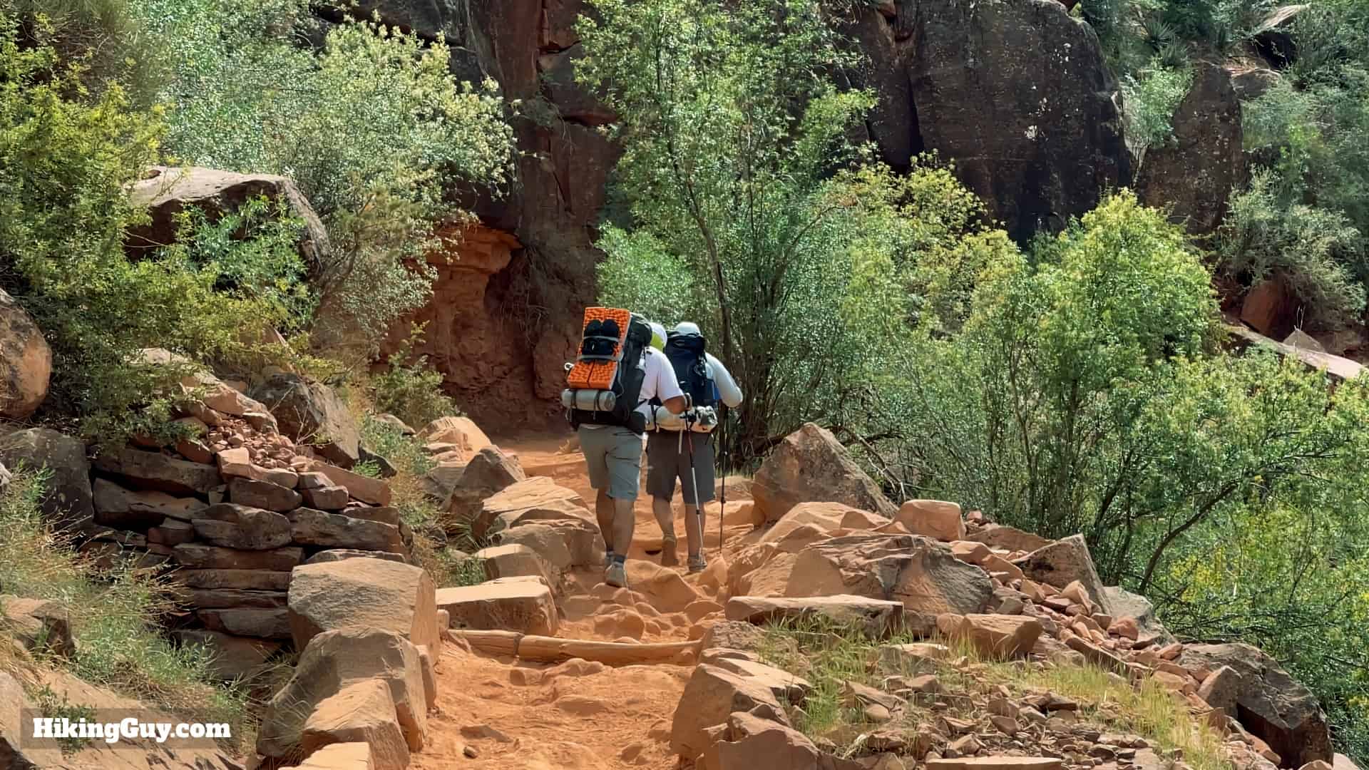 Heavy Gear In Grand Canyon