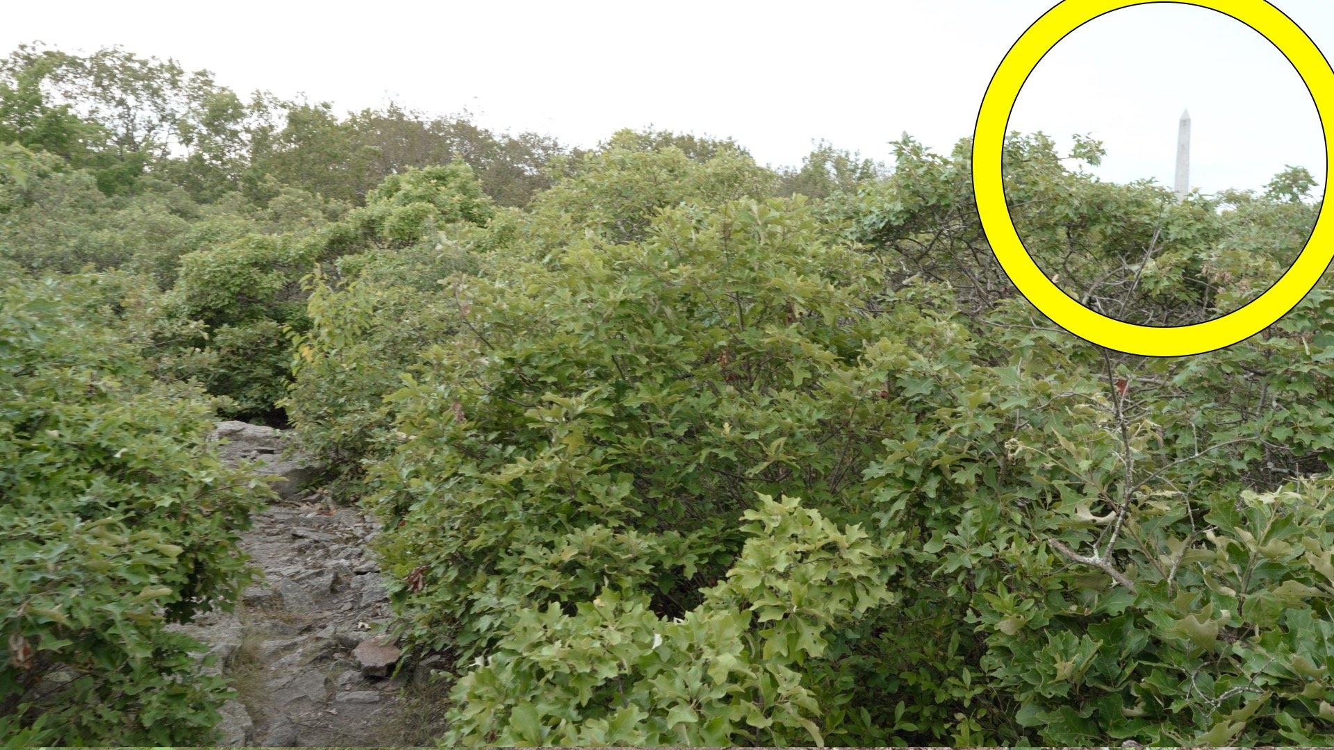 High Point Nj Hike Directions 4