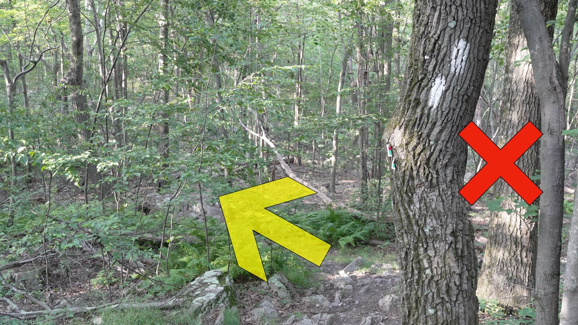 High Point Nj Hike Directions 6
