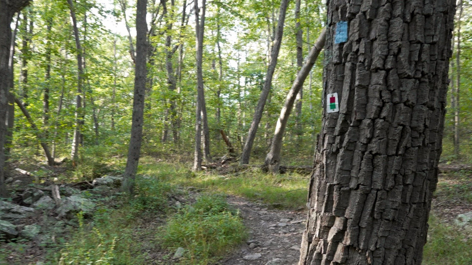 High Point Nj Hike Directions 7