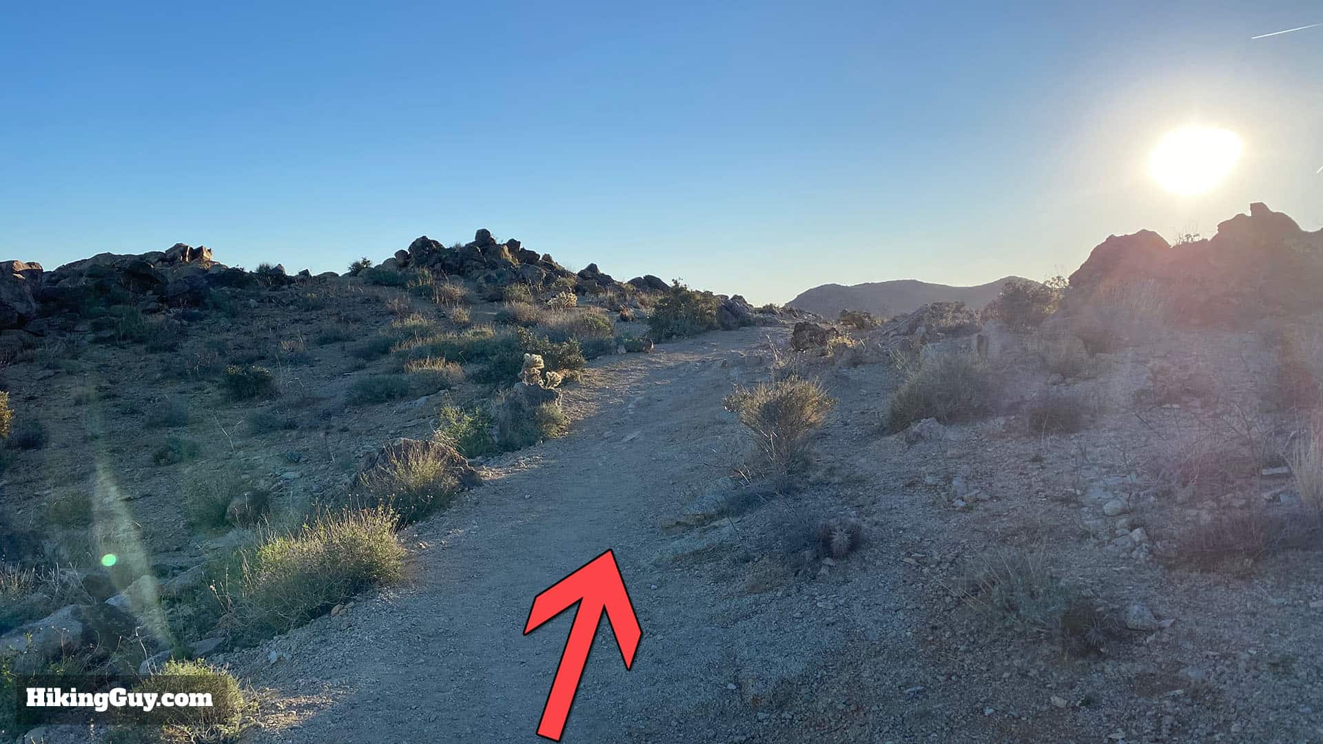 Hike 49 Palms Oasis Trail 10