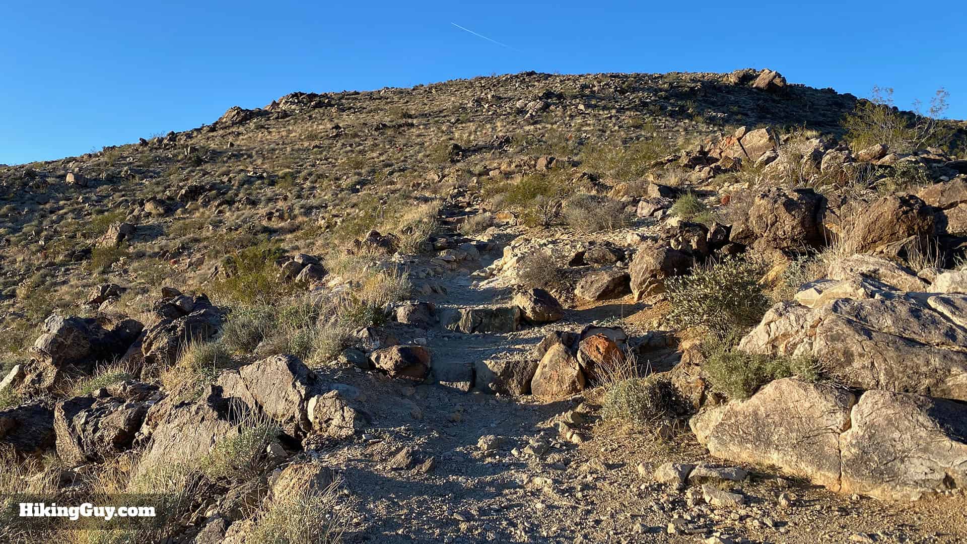Hike 49 Palms Oasis Trail 11