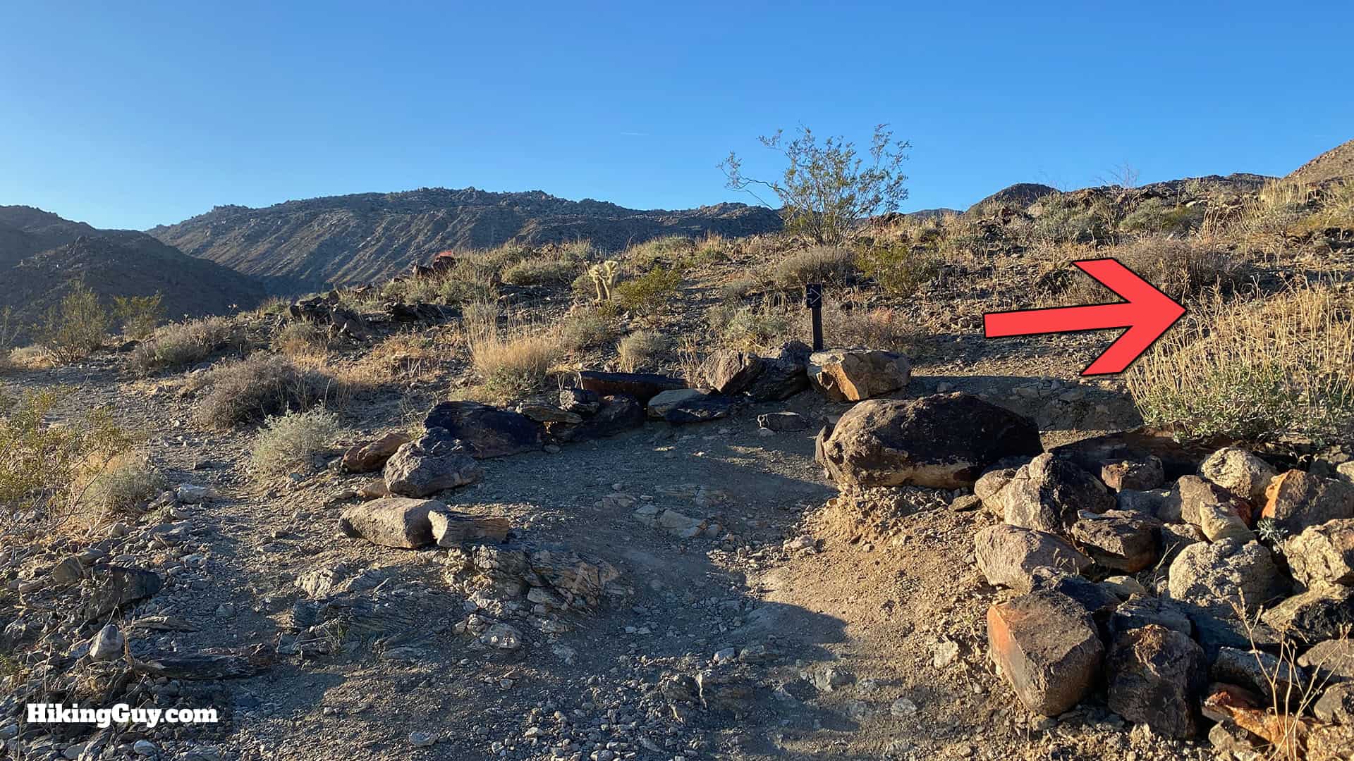 Hike 49 Palms Oasis Trail 12