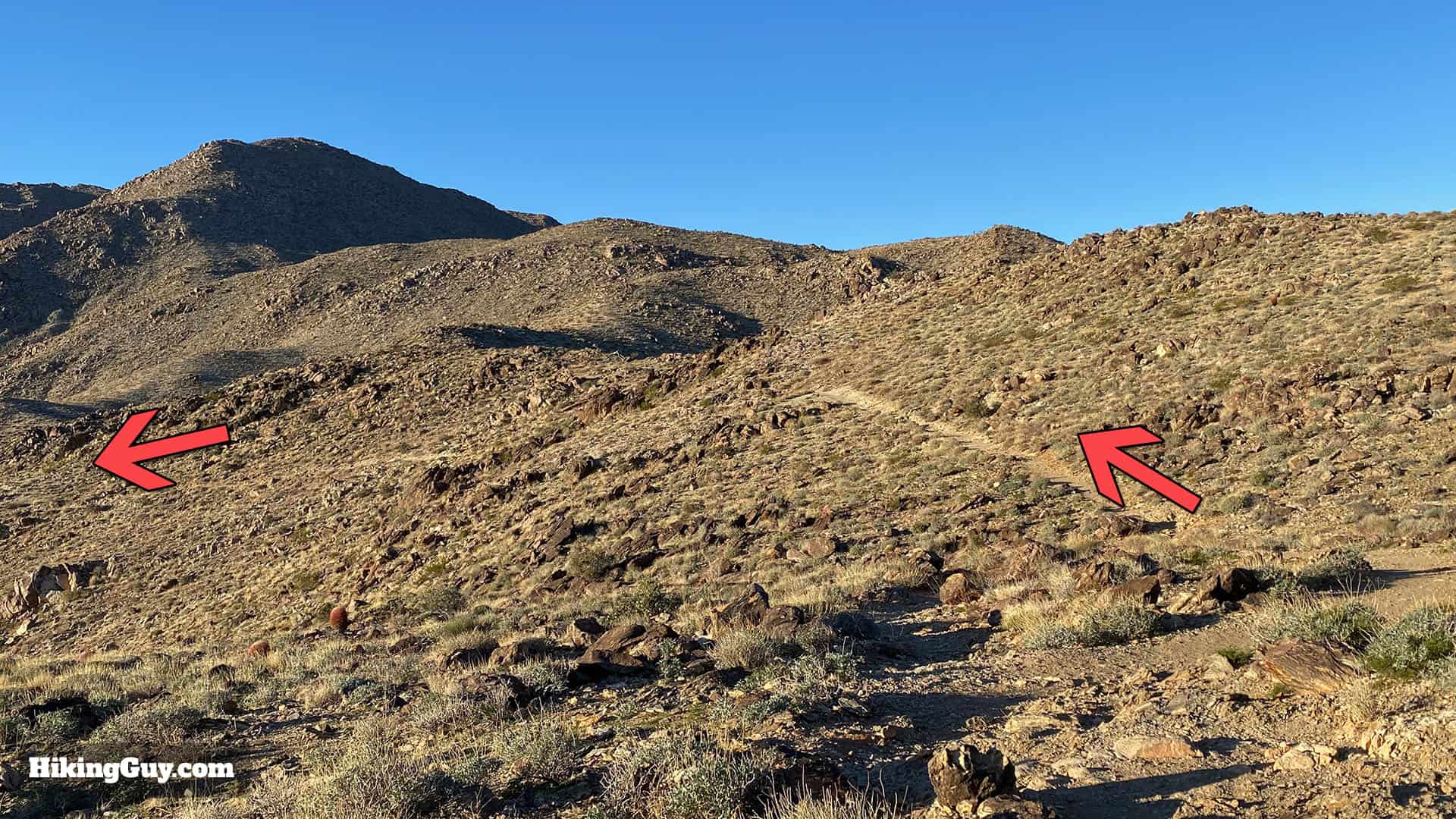 Hike 49 Palms Oasis Trail 14