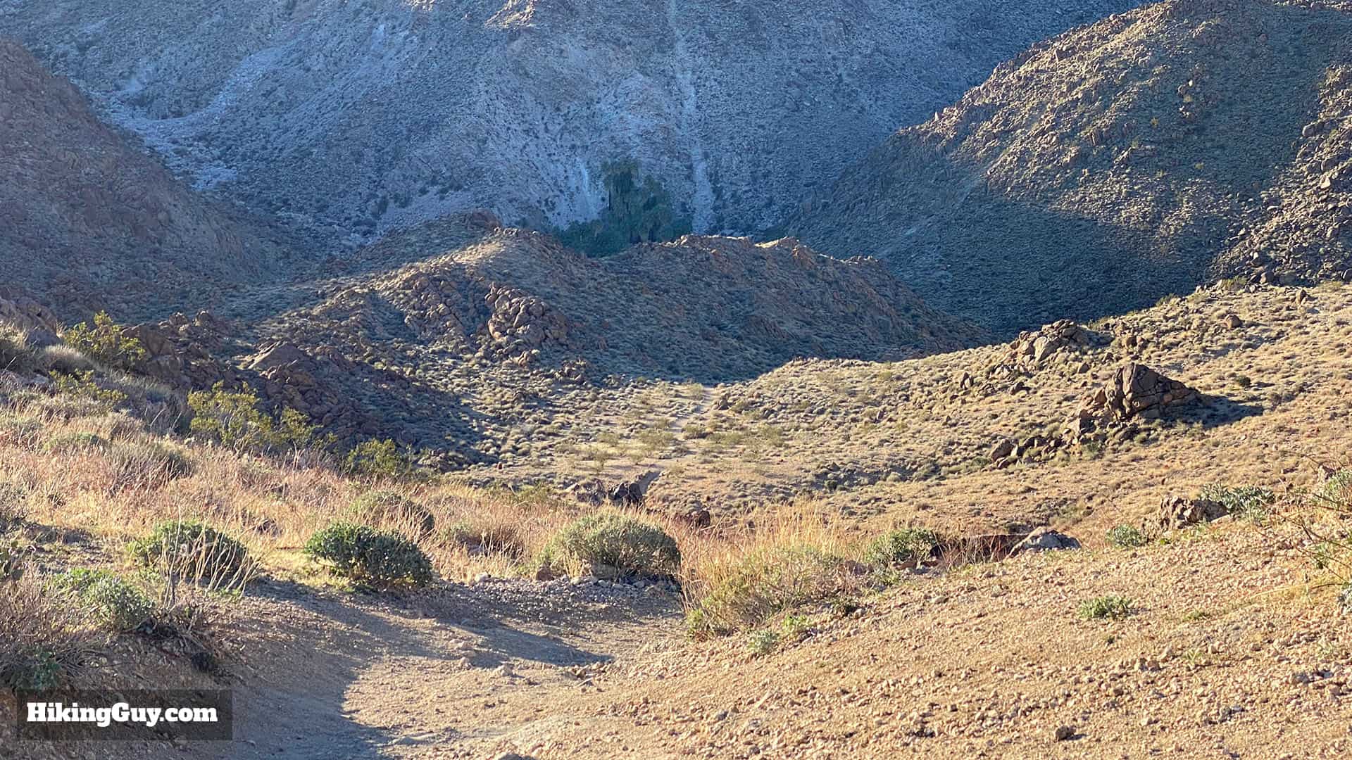 Hike 49 Palms Oasis Trail 15