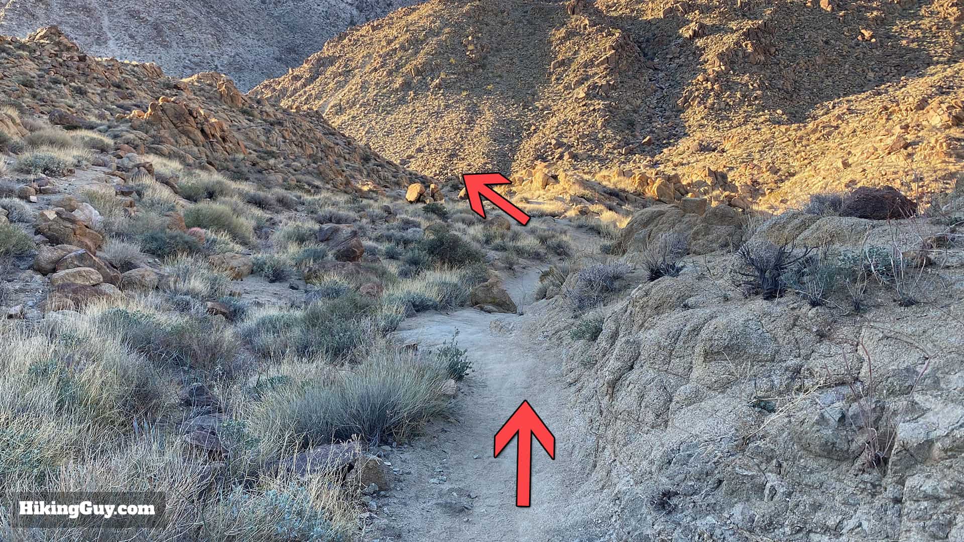 Hike 49 Palms Oasis Trail 17