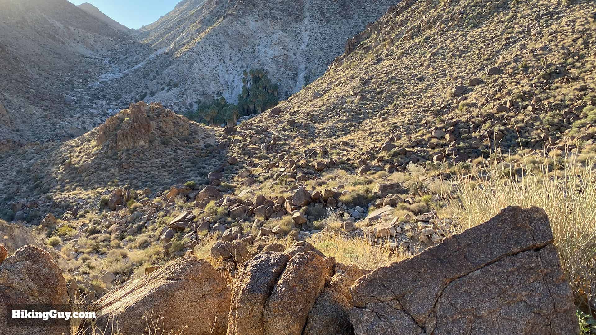 Hike 49 Palms Oasis Trail 19